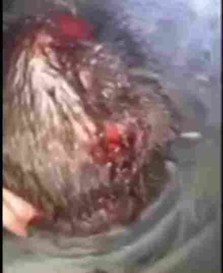 Aluminum Bat Beating Leaves Man Bloody And Screaming