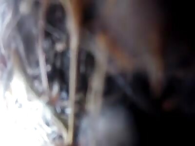 PKK Guerilla Gets Shot And Killed {Gopro Cam}