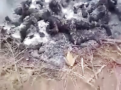 Who Ordered The 11 Extra Crispy s?