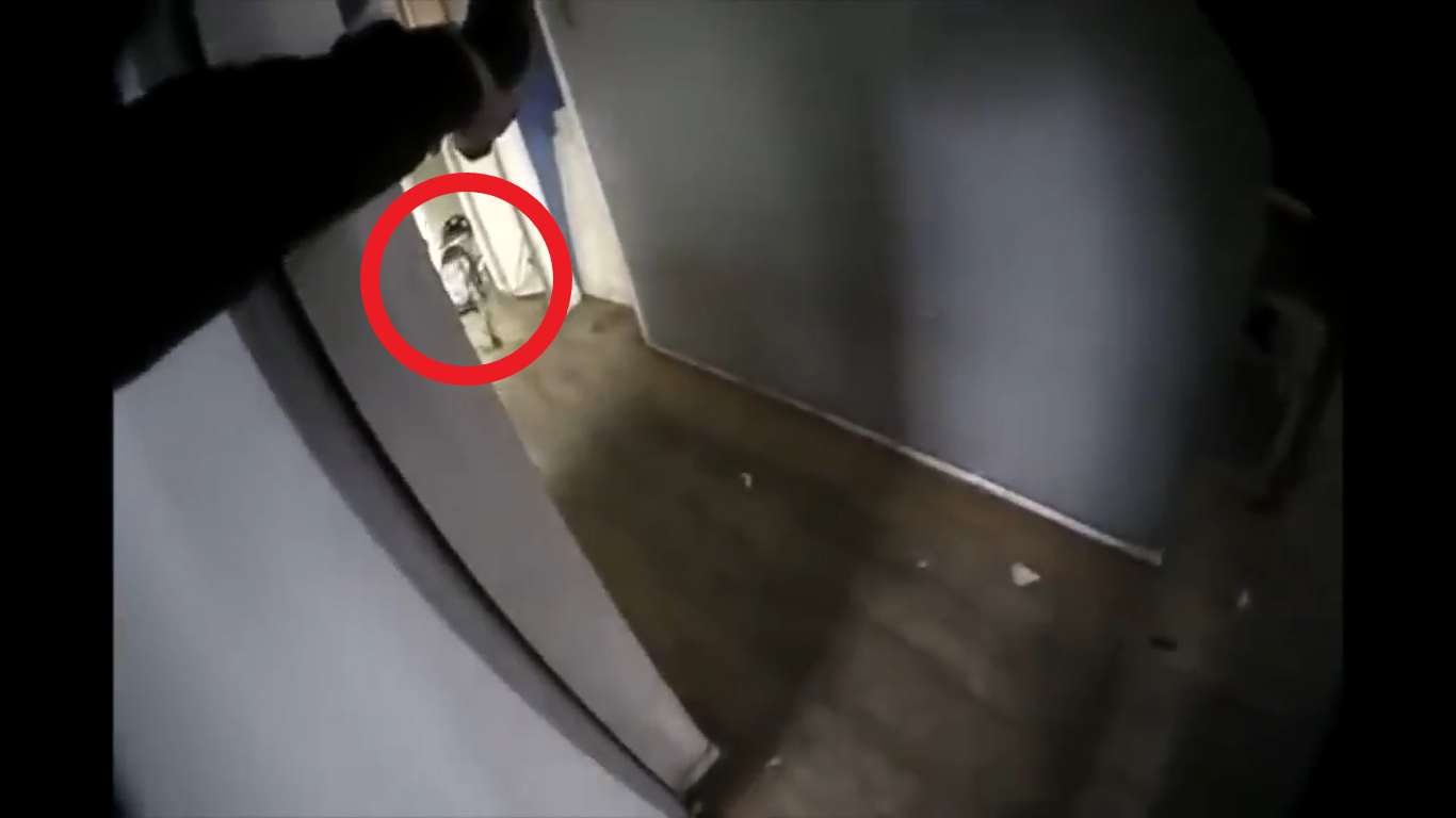 Cop Is Forced To Shoot Pitbull That Charged At Him