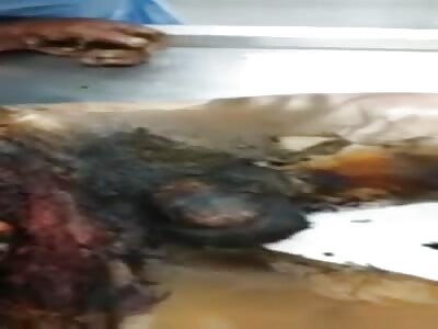 Ever Seen What Ukrainian Artillery Does To Russians?