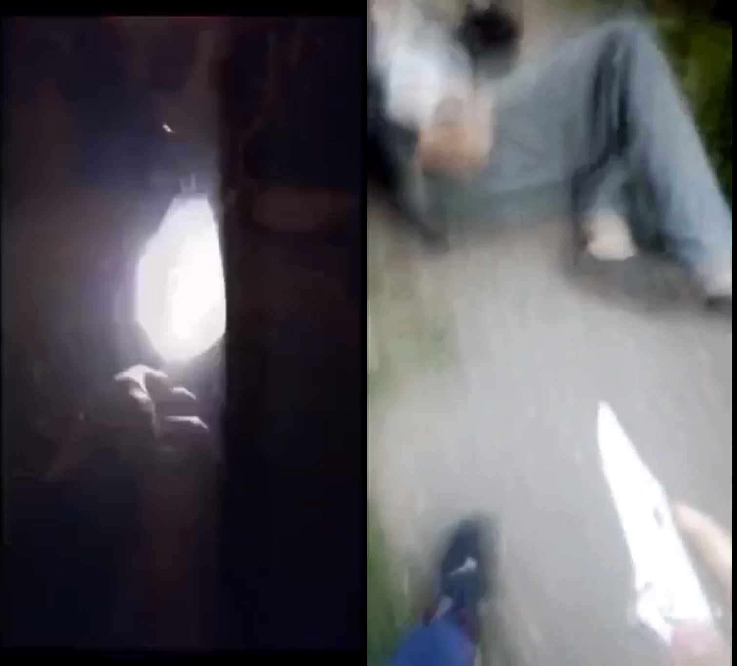 National Socialists Shoot Stab Beat And Commit Arson