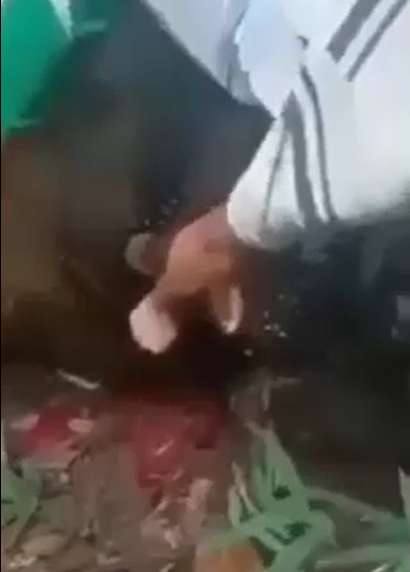 Man Gets Stabbed Then His Brains Get Blown Out!