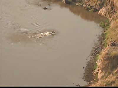 The power of nature!