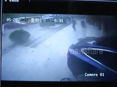 Tesla crash into shop