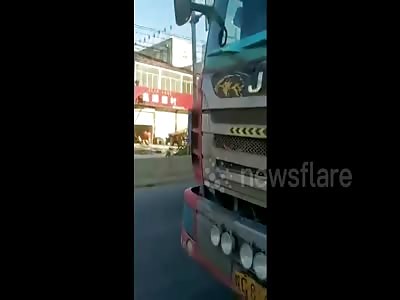 Crazy driver deliberately rams police car to avoid being stopped