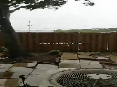 Woman Watch In Horror As Irma Slowly Uproot Tree That Almost Fell On Her House