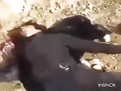 Peshmerga kill isis in mosul