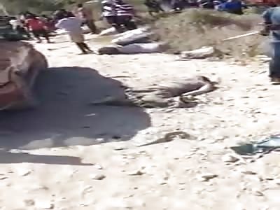 Horrible accident with several dead