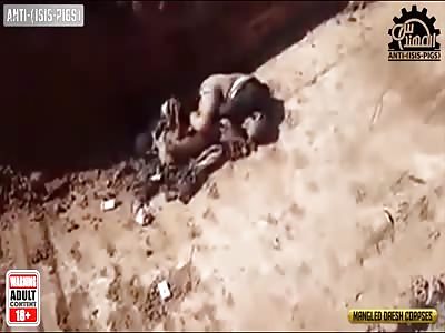 Several daesh bodies collected in iraqi