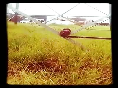 kop in Sao Carlos Sao Paulo toring hoog