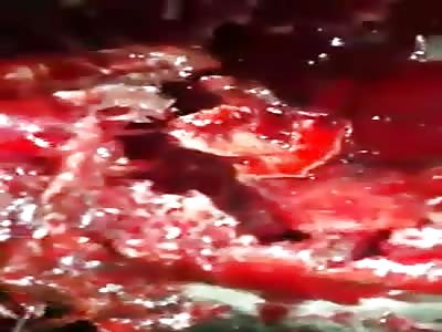 Dead man with a shotgun shot under a car