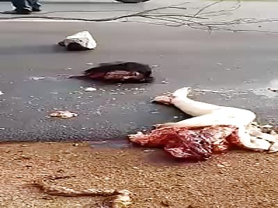 Horrible woman and shattered accident