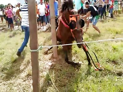 Horrible accident with jockey and horse