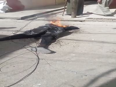 Burning daesh soldier