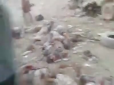 Car bomb isis detonate