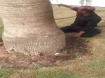 face destroyed in accident