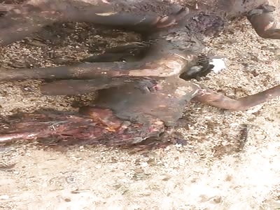 Daesh barbecue -Video 1-