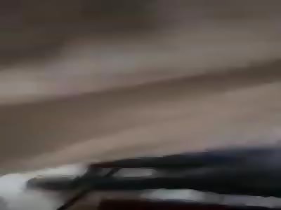 SEEDED MAN WOMAN AGES