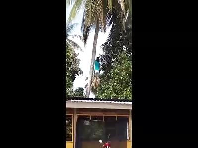 Accident with Boy(no watermark)