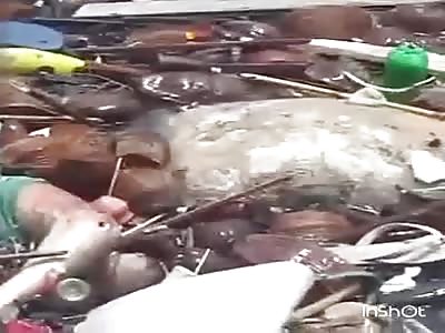 Body exposed in valley