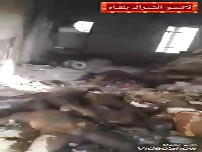 daesh Daesh fresh to the point