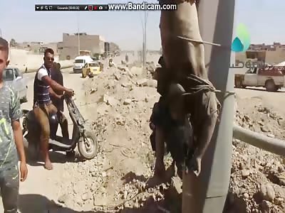 Two members of the Daesh tribe were killed 