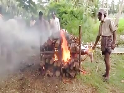 Body cremation narrated in Portugues BR