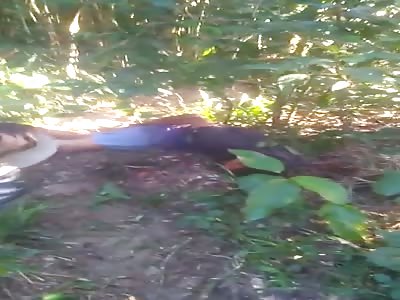 (Video before the head shot)