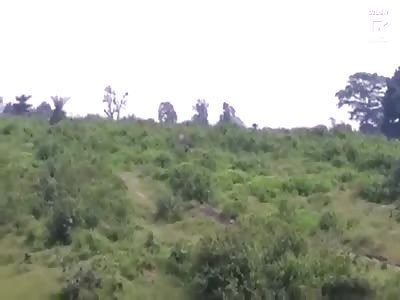 'Drunk man' trampled to death by raging elephant after trying to get SELFIE with the huge beast