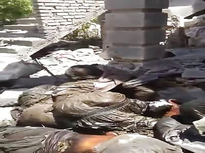 killed by Iraqi army