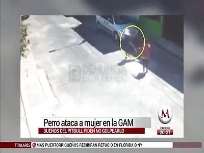 shocking: woman attacked by pit bull