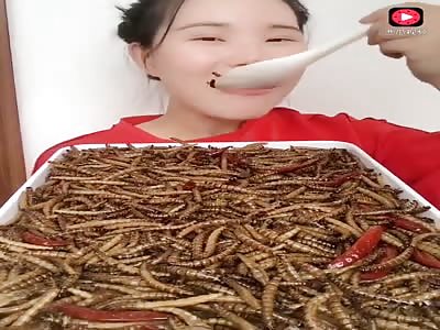 WTF looks at the Chinese dish