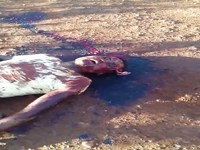 man was brutally murdered in unknow city 