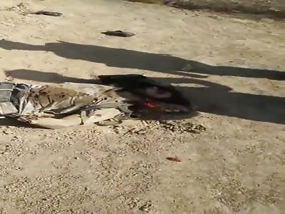 Agency Depth: See the bodies of the Rufid in Mosul