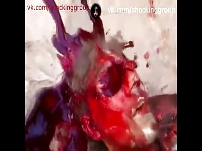 Dude Fucked Up by Waring Rivals 