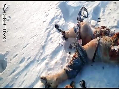 Cold beef : man hit by train