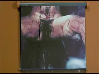 TORTURA A MUJERES (Emanuelle in america - 1976)