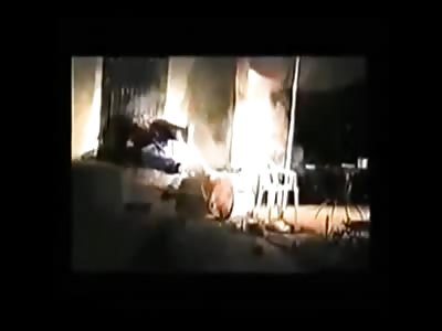 Cops Gone Wild - Domestic Terrorist Edition 