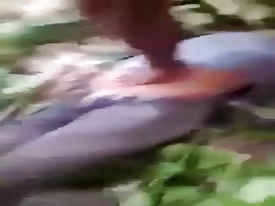 Bus that crashed many dead