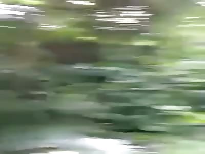 The discovery of corpse 