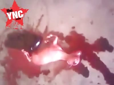 WOMAN gave birth to a GOAT inside CHURCH