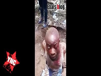 wizard begs not to be burned alive 