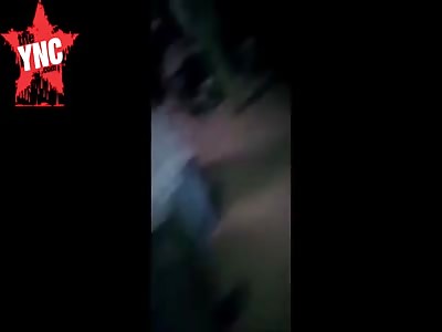 man shoots his father dead over a dog.