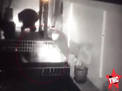 Dutch man electrocuted after pulling light into jacuzzi