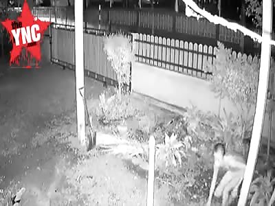 psycho pervert steals bra and kickers  in the middle of the night