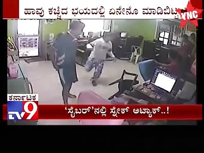 Leaping snake Attacks man in Thai Internet Cafe