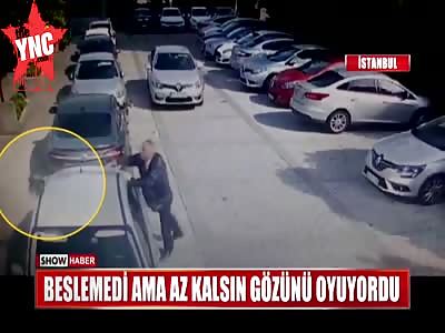 a Crow wanted to eat a big fat Turkish man 