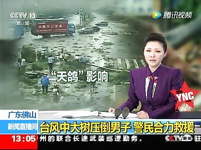 a tree falls onto motocycle man @0:10