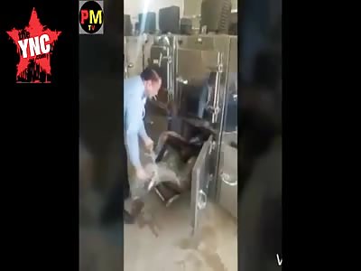 burned body of Iranian  actor  killed by 4 of his friends in iran